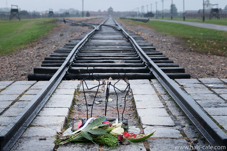 rPiEe@ݐI[̌ԁF|[hAIVtBG`AAEVrbc@Konzentrationslager Auschwitz-Birkenau