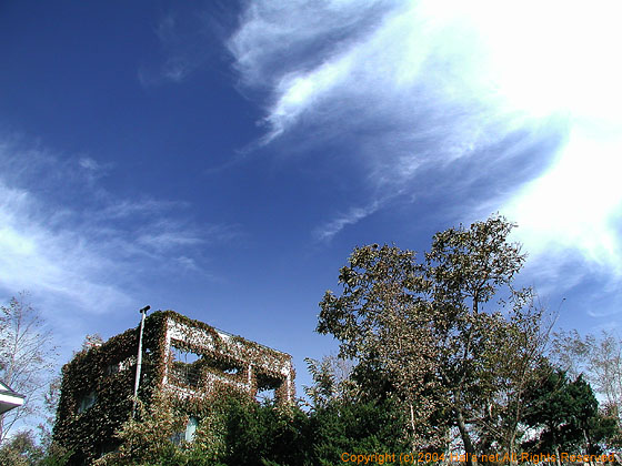 H#30FAutumn2003-2004@΂ɕ͂AƂH̉